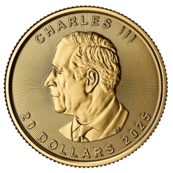 Złota Moneta 1/2 uncji Liść Klonu 2025 r