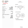 Diament Naturalny Brylant 1,00 ct G Si2 IGI