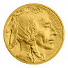 Złota moneta 1 uncja 50 dolarów Bizon 2023 r