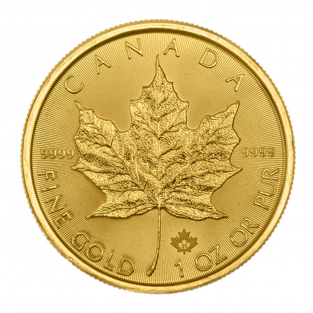 Złota moneta 1 uncja Liść Klonu różne roczniki